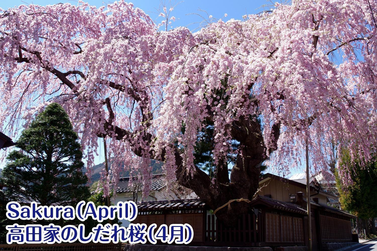 Nikko Stay House Arai - Vacation Stay 14994V Exteriér fotografie